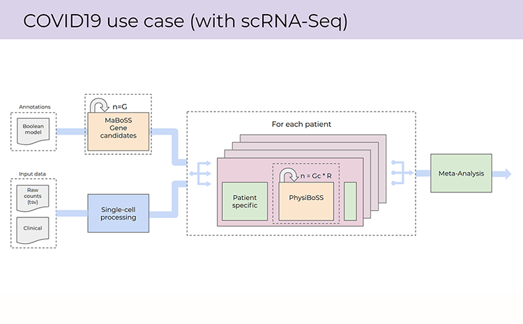 Pilot workflow for personalised COVID19 modeling