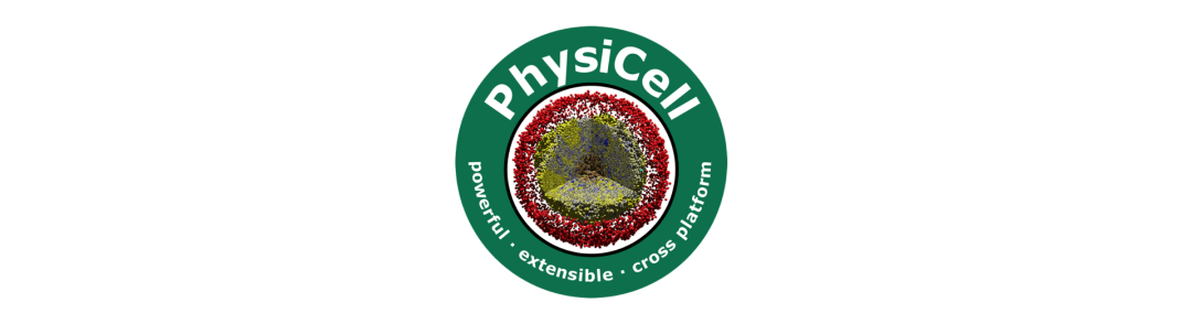 PerMedCoE experts at 2021 Virtual PhysiCell Workshop and Hackathon