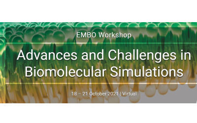 Advances and Challenges in Biomolecular Simulations