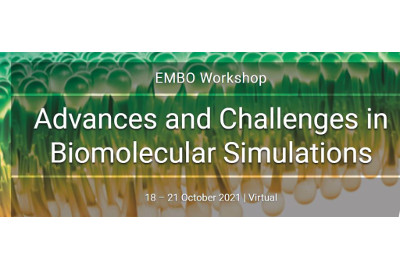 Advances and Challenges in Biomolecular Simulations