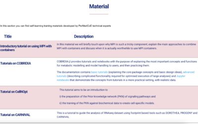 PerMedCoE training materials are available online