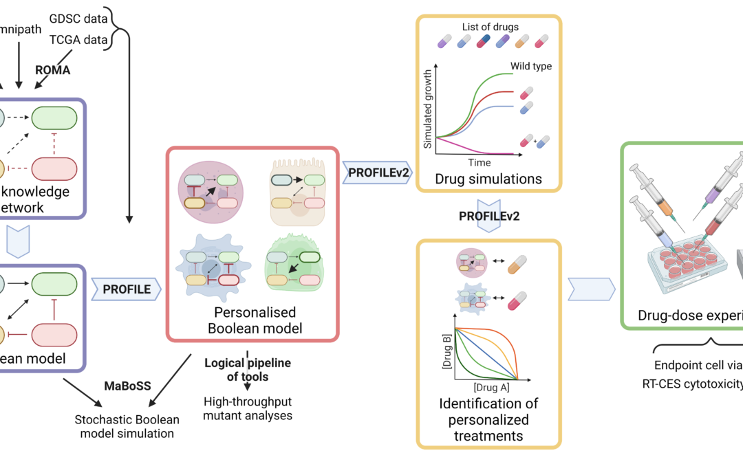 Virtual patient ‘surrogates’ can personalise cancer treatments