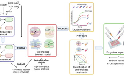 Virtual patient ‘surrogates’ can personalise cancer treatments