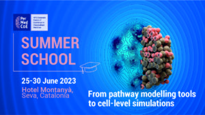 PerMedCoE summer school: from pathway modelling tools to cell-level simulations
