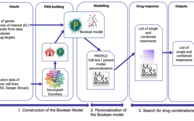 Drug synergies workflow successfully run on MareNostrum 4