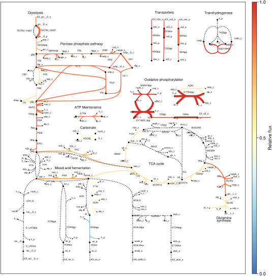 New publication: interrogating the effect of enzyme kinetics by constraint-based metabolic modeling