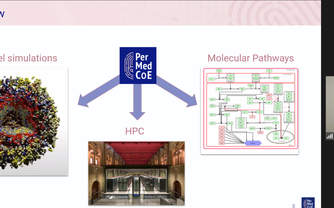 PerMedCoE’s Jose Carbonell Caballero Discusses Leveraging HPC Environments at BY-COVID Event