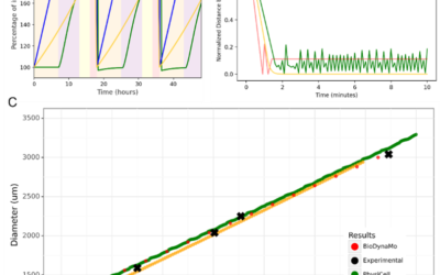 Benchmarking hackathon compares PerMedCoE’s Physicell tool with Chaste, BioDYnaMo and TiSim/CellSys tools 