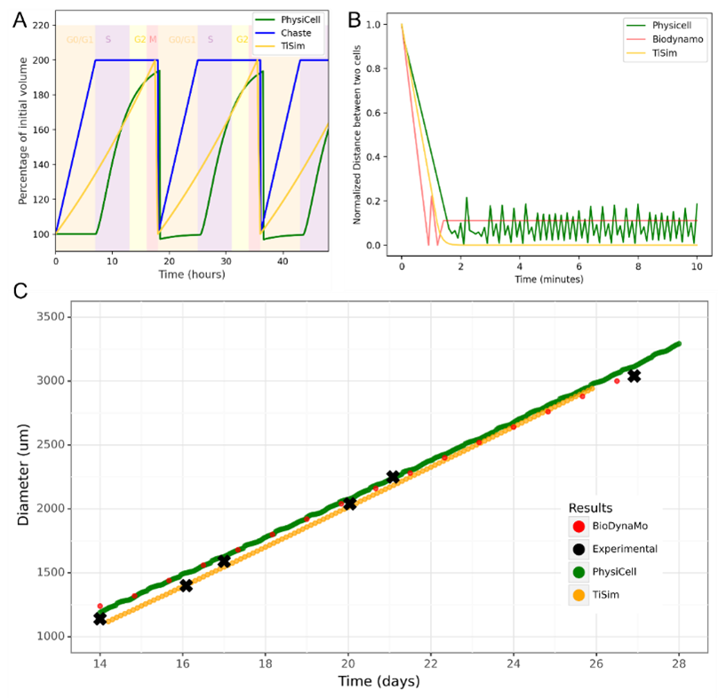 Figure 1: Selected results from the agent-based modelling benchmark tests. A, Simulated cells’ volume dynamics with a cell cycle of a fixed duration. B, Simulated dynamics of the distance between the two cells pushing each other. BioDynaMo (red), Chaste