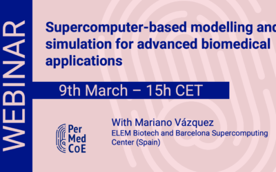 Webinar: Supercomputer-based modelling and simulation for advanced biomedical applications