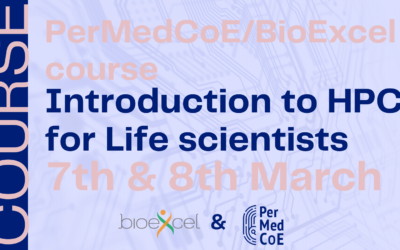 Travel Grant Recipients Reflections on “Introduction to HPC for Life Scientists” Course