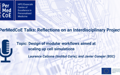 PerMedCoE Talks: Reflections on an Interdisciplinary Project
