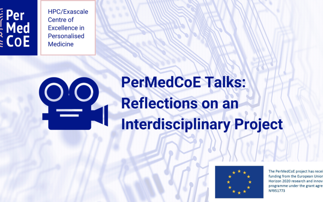 PerMedCoE Talks: Reflections on an Interdisciplinary Project